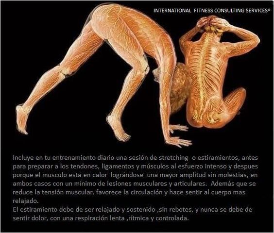 Estiramientos