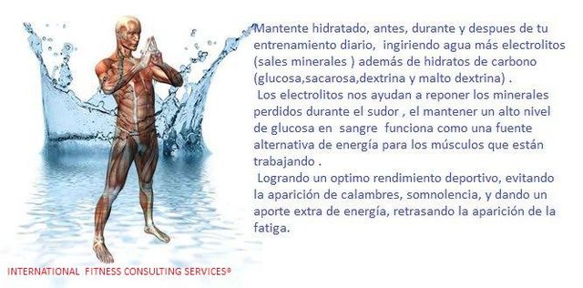 Hidratación en el deporte 